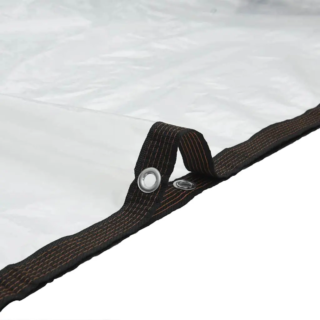 Clear Tarpaulin Polyethylene 3x5 m Transparent Waterproof Outdoor Garden Cover