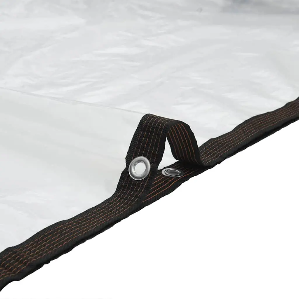 Clear Tarpaulin Sheet Polyethylene 3x8m Transparent Outdoor Garden Cover