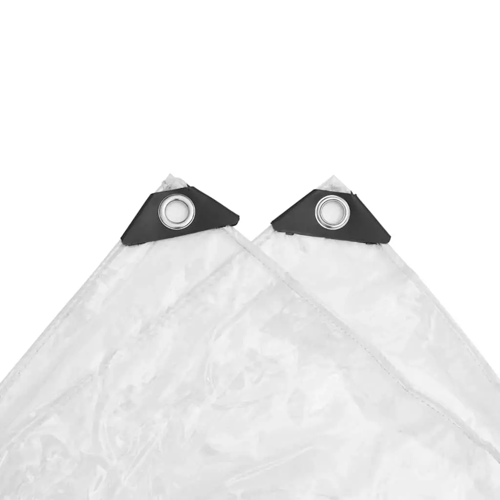 Clear Tarpaulin PVC 2x3 m Transparent Waterproof