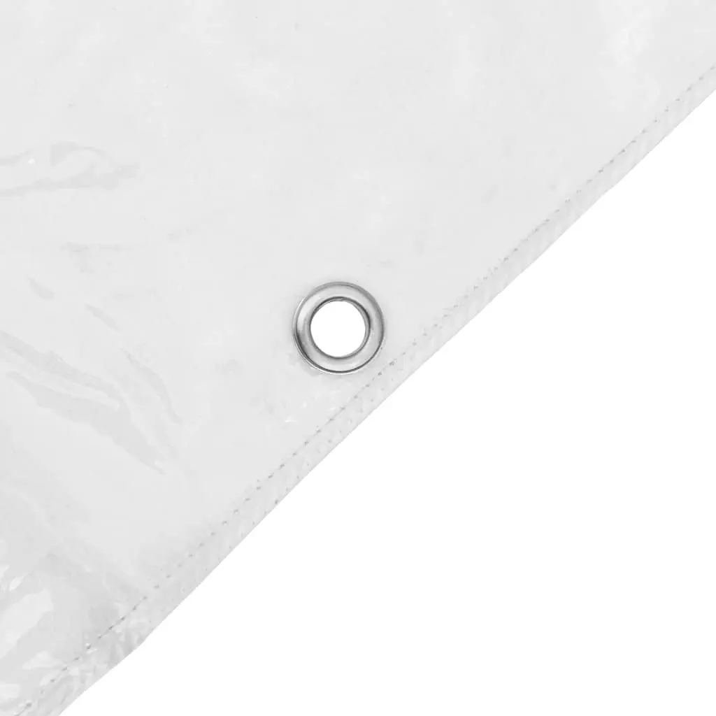 Clear Tarpaulin PVC 2x3 m Transparent Waterproof