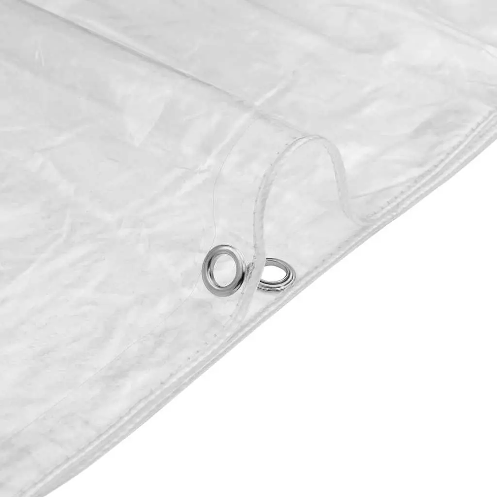 Clear Tarpaulin PVC 2x3 m Transparent Waterproof