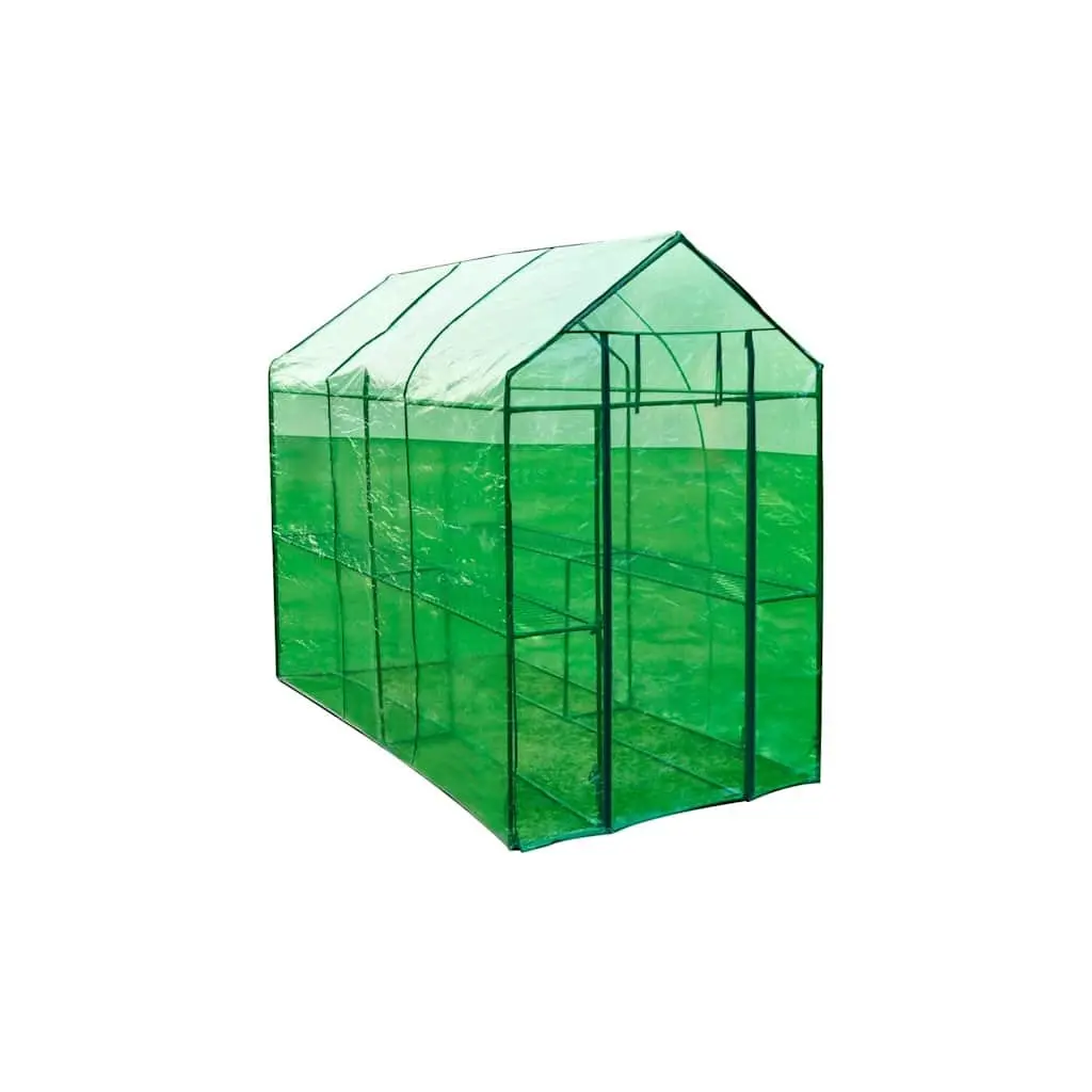 Walk-in Greenhouse Transparent Green Cover Sturdy Powder-coated Steel Frame for Plants and Flowers