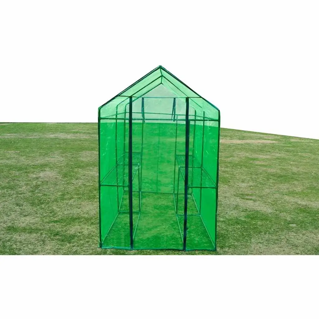 Walk-in Greenhouse Transparent Green Cover Sturdy Powder-coated Steel Frame for Plants and Flowers