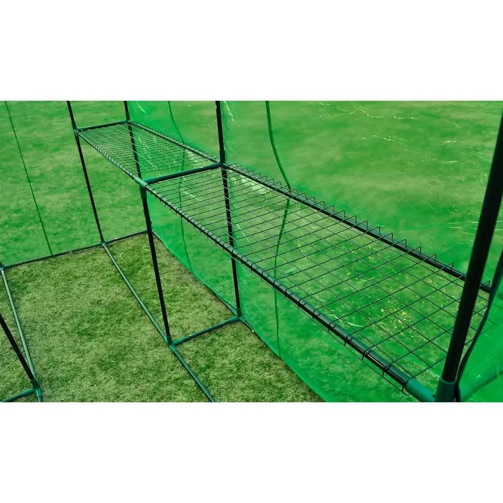 Walk-in Greenhouse Transparent Green Cover Sturdy Powder-coated Steel Frame for Plants and Flowers