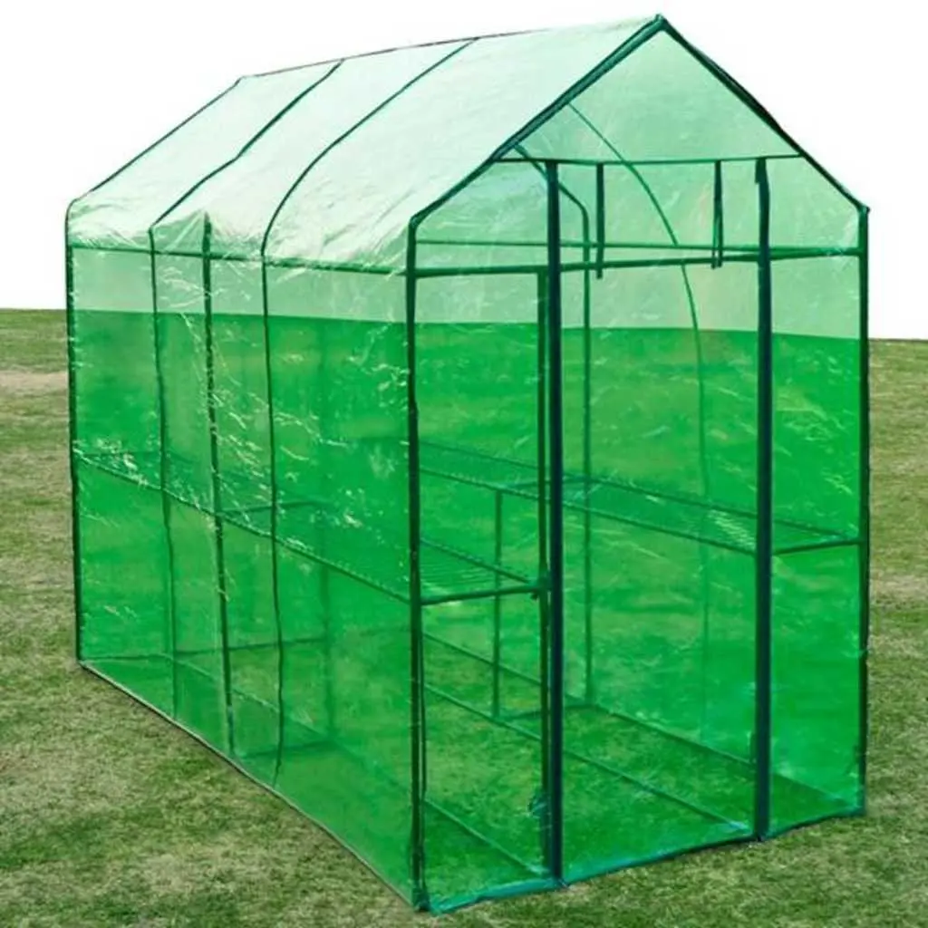 Walk-in Greenhouse Transparent Green Cover Sturdy Powder-coated Steel Frame for Plants and Flowers