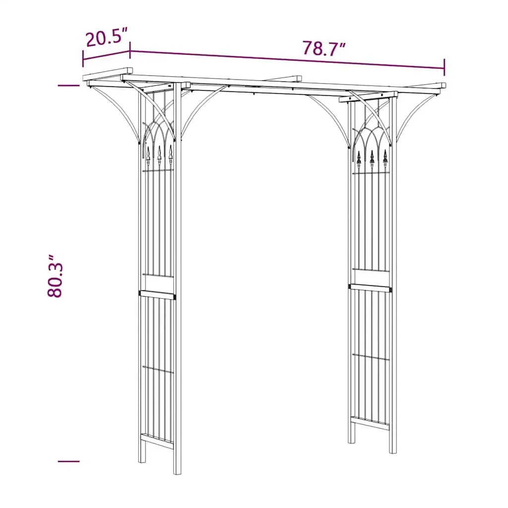 Climbing Plant Support Frame Durable Iron Garden Arch Black 200cm Wide Outdoor Structure