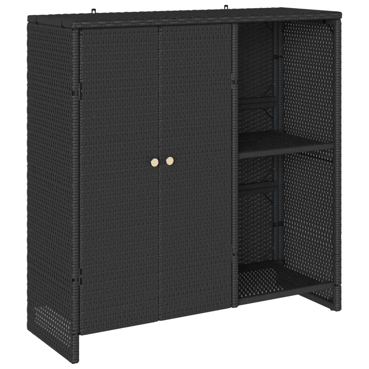 Storage Cabinet Rattan Rectangular Black Modern Living Room Organizer