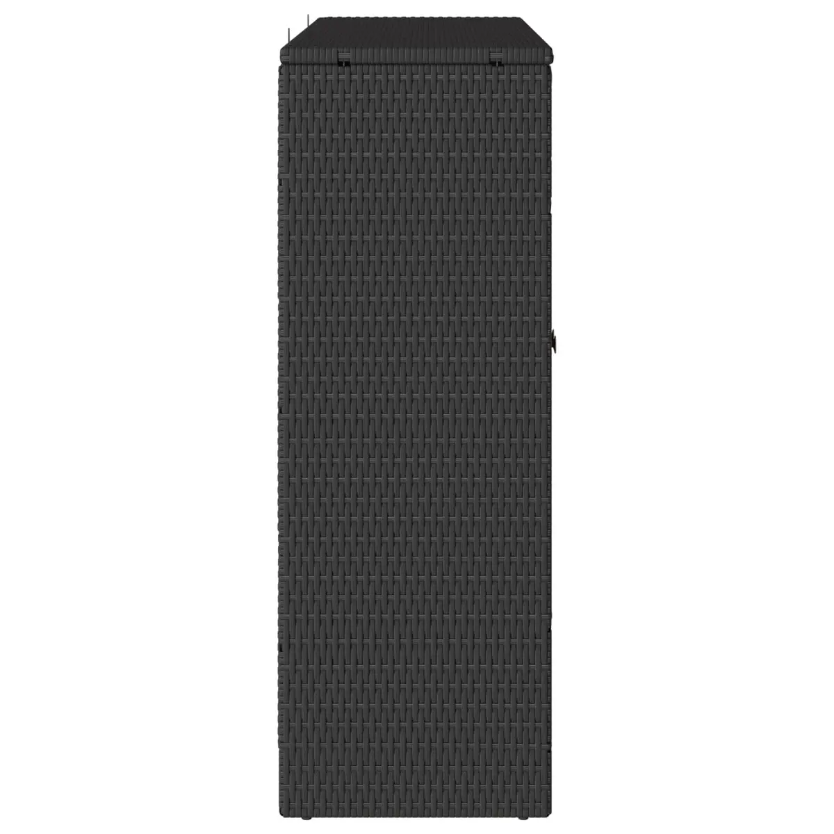 Storage Cabinet Rattan Rectangular Black Modern Living Room Organizer