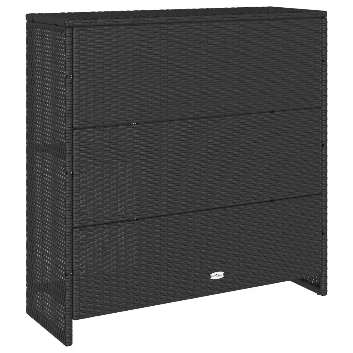 Storage Cabinet Rattan Rectangular Black Modern Living Room Organizer
