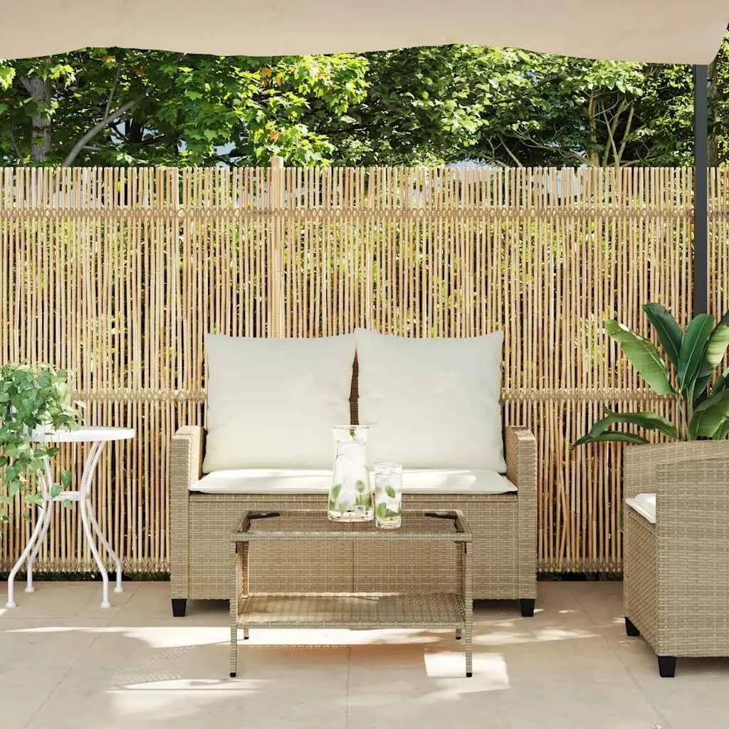 Garden Sofa PE Rattan 2-Seater Outdoor Lounge with Cushions Glass Table Beige
