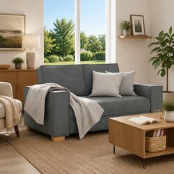 Ideal 2-Seater Sofa for Living Rooms and Offices