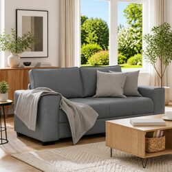 2-Seater Sofa for Living Rooms and Offices
