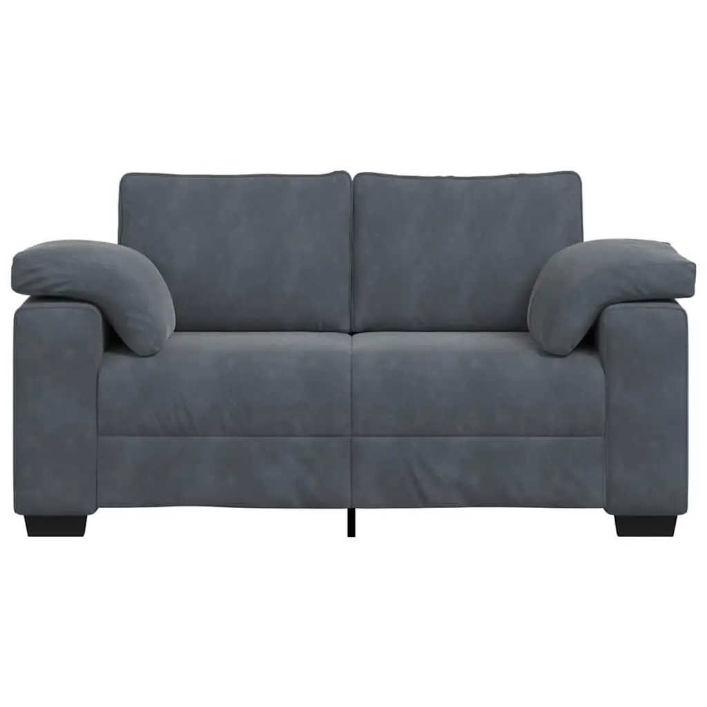 Dark Grey Loveseat Sofa for Living Spaces