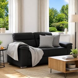 2-Seater Sofa for Living Rooms and Offices
