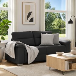 Versatile 2-Seater Sofa for Everyday Use