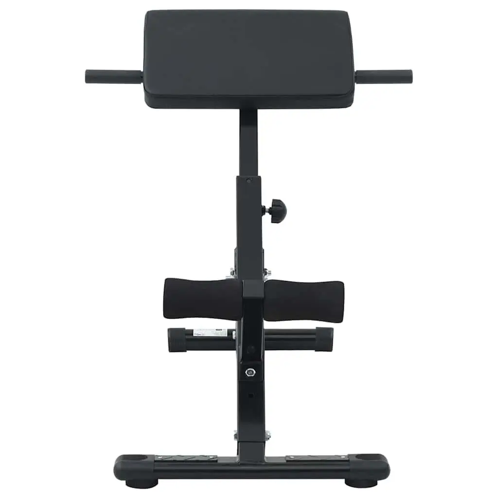 Hyperextension Bench Foldable Adjustable Steel 100.5 x 70 x 78 cm Black