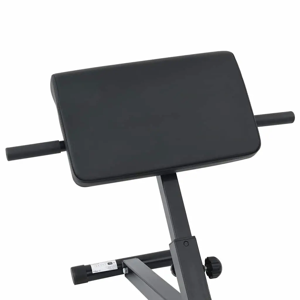 Hyperextension Bench Foldable Adjustable Steel 100.5 x 70 x 78 cm Black