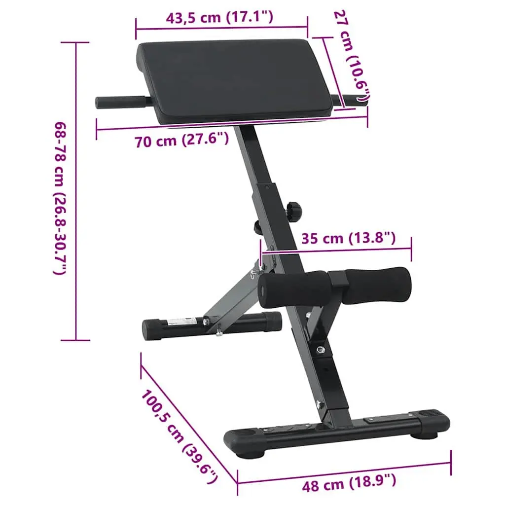 Hyperextension Bench Foldable Adjustable Steel 100.5 x 70 x 78 cm Black