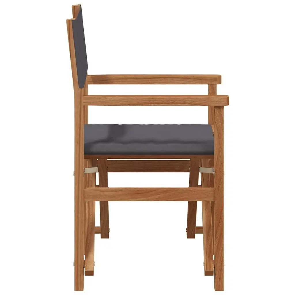 Folding Chair Outdoor Grey Teak Frame Padded Seating