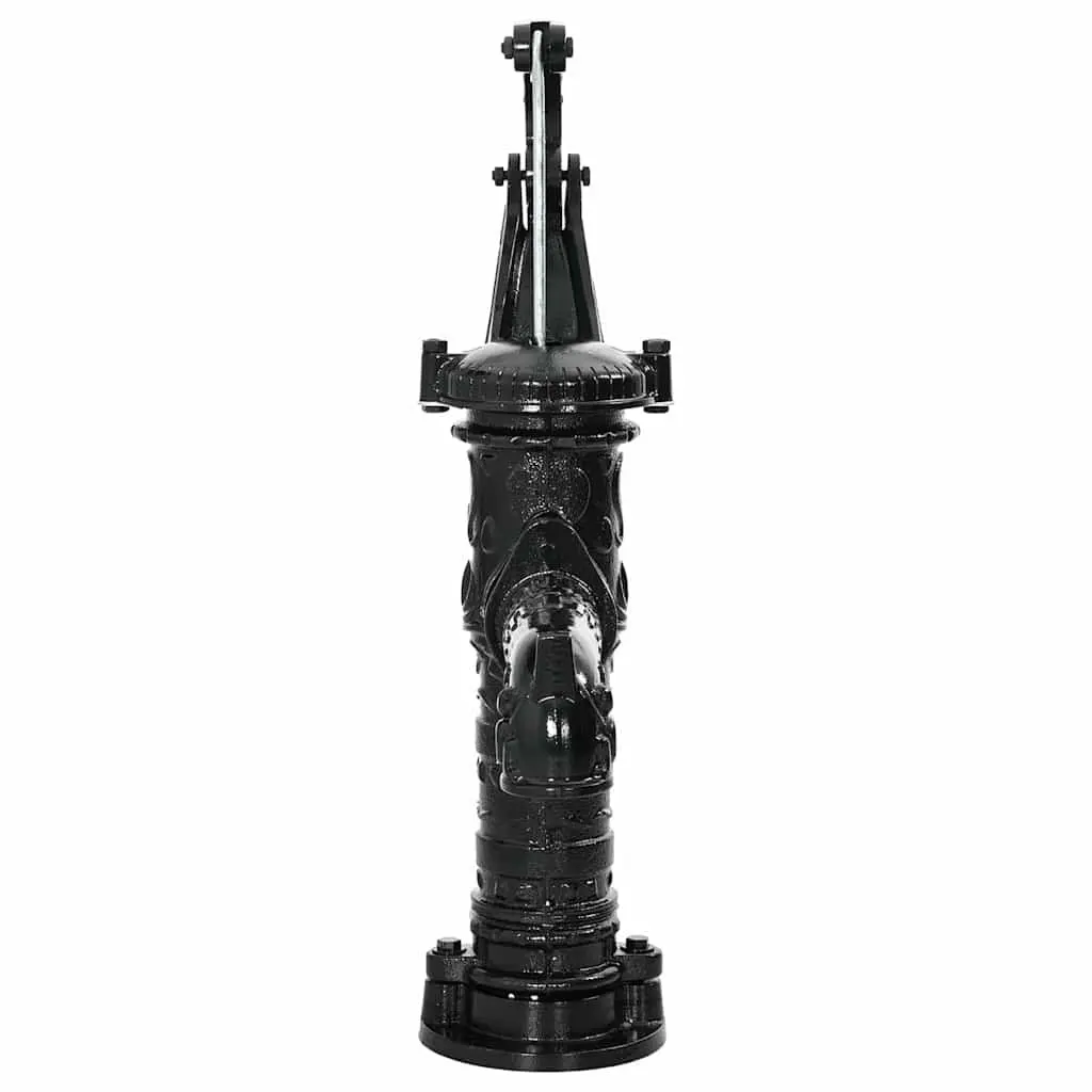 Hand Operated Garden Water Pump Cast Iron Black Manual Outdoor