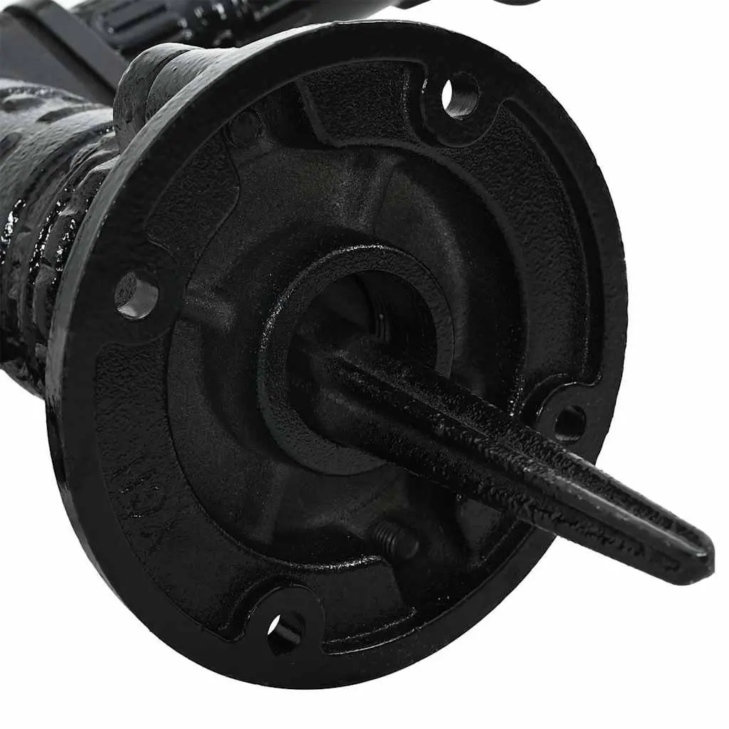 Hand Operated Garden Water Pump Cast Iron Black Manual Outdoor