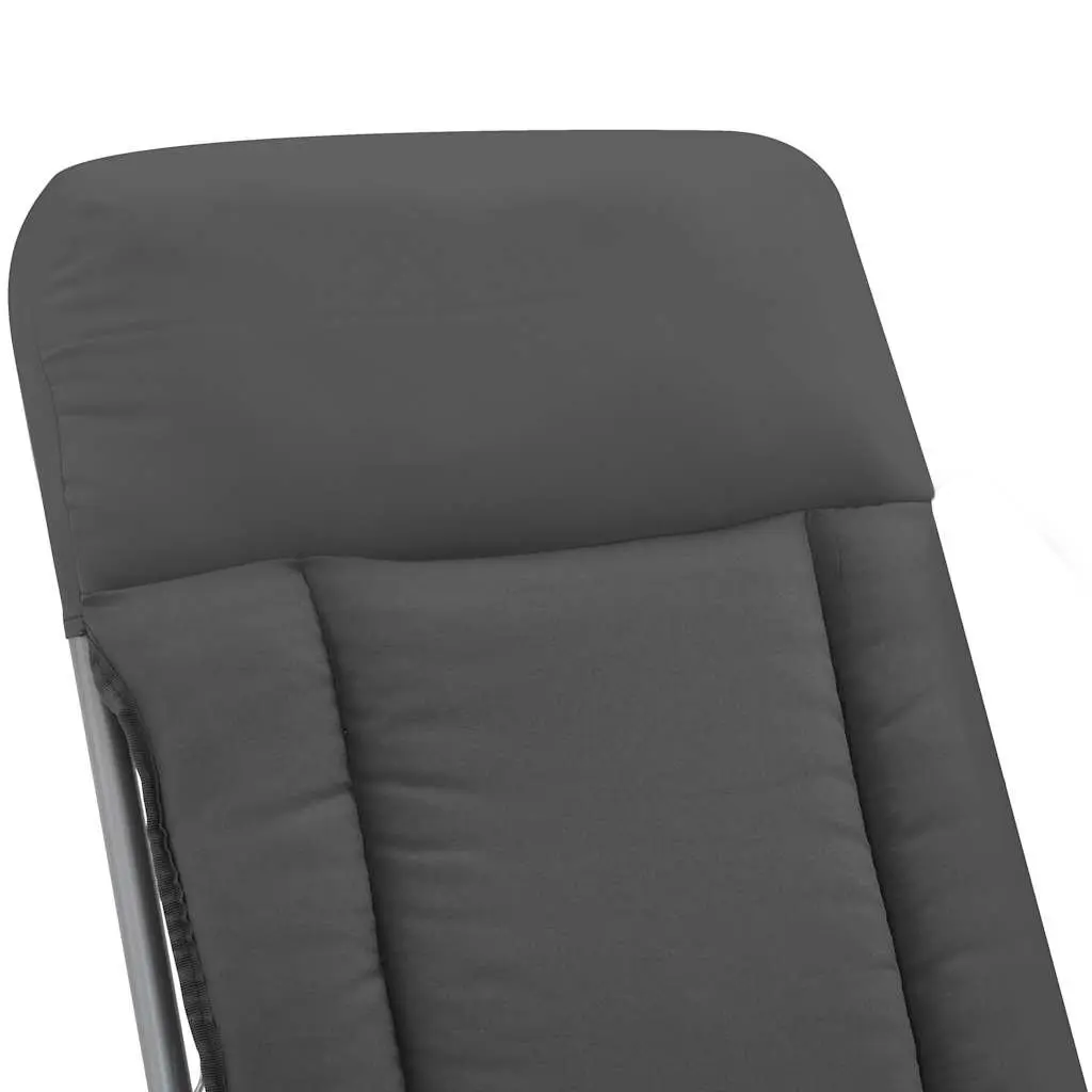 Folding Garden Chairs Steel Frame 2 pcs Grey Outdoor Reclining