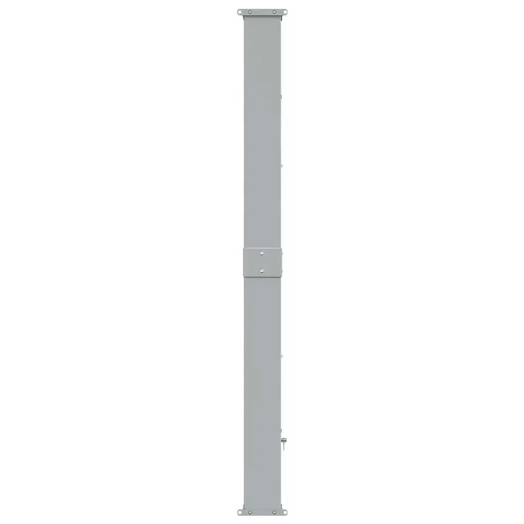 Retractable Side Awning Polyester 160 x 300 cm Black Iron