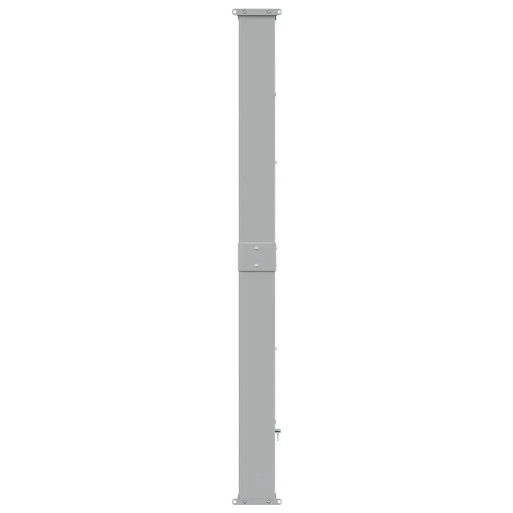 Retractable Side Awning Iron 160 x 300 cm Cream