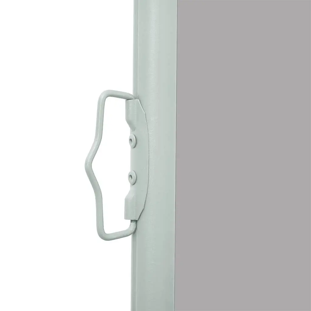 Side Awning for Home Use 160x500cm
