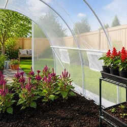 Practical 9m² Greenhouse for Everyday Gardening
