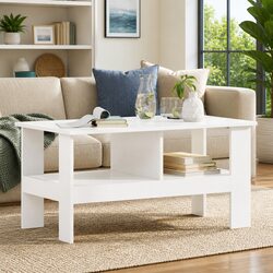 Functional Coffee Table for Everyday Use and Storage