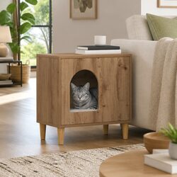 Practical Cat House for Active Indoor Cats