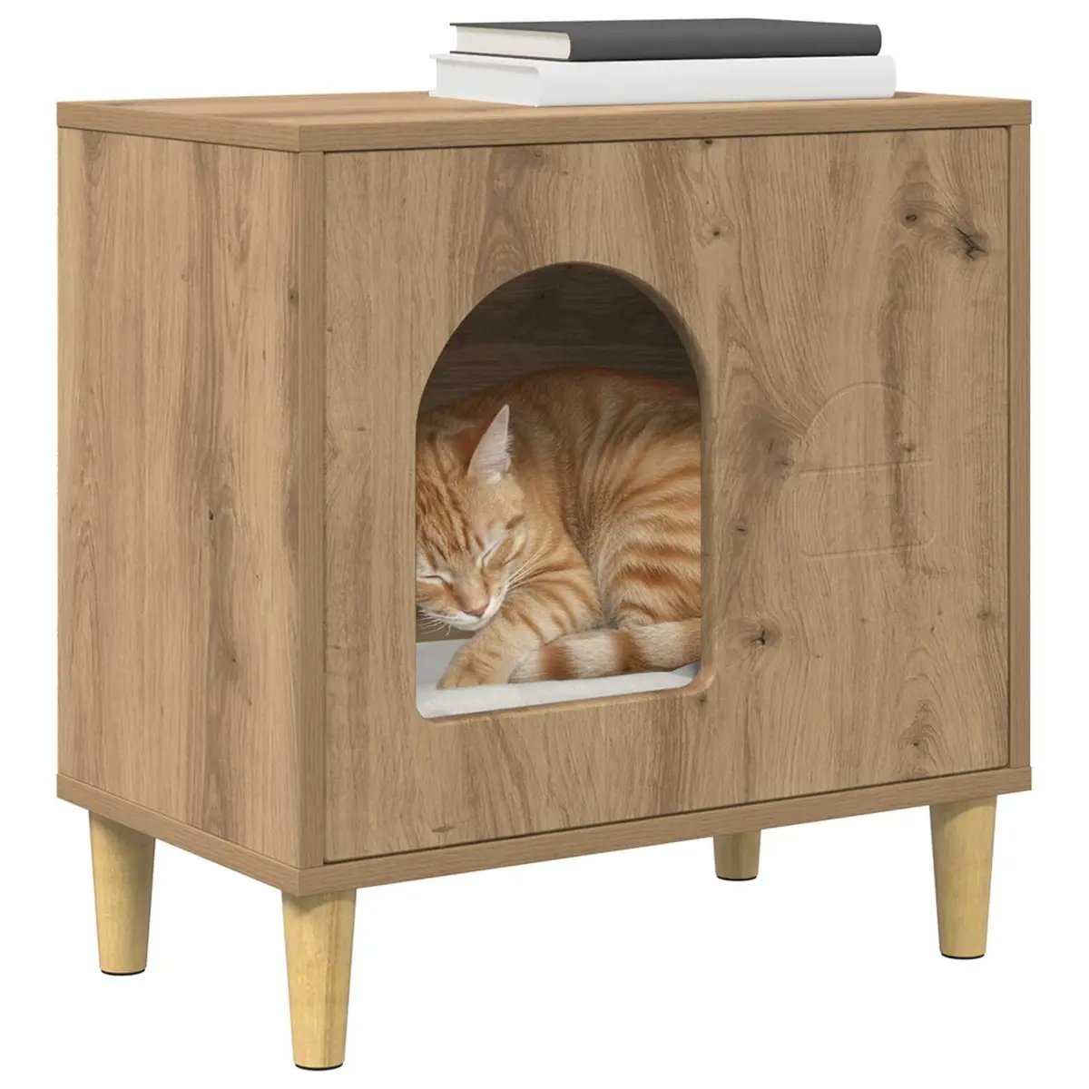 Cat House for Active Indoor Cats