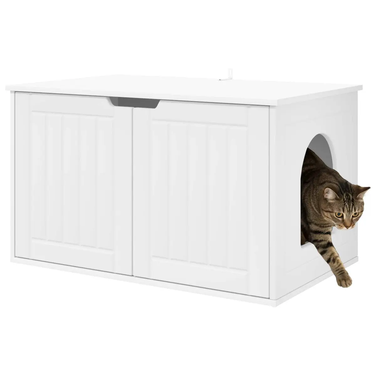Cat House for Indoor Spaces