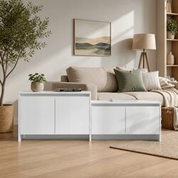 Functional 4 Door TV Cabinet for Your Living Room