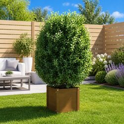 Functional Brown Planter for Your Garden or Patio
