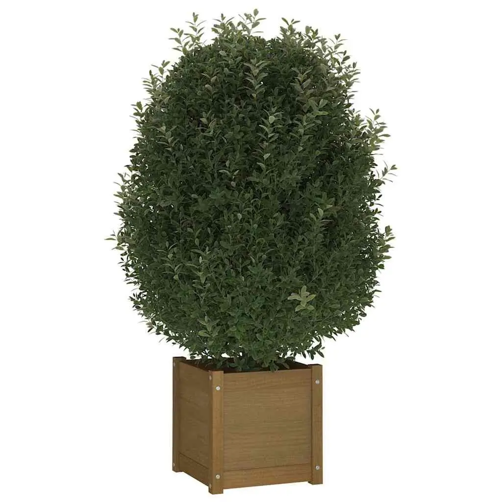 Solid Pinewood Garden Planter Brown 40x40x40 cm Wooden Flower Box Pot