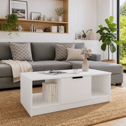 Versatile Coffee Table for Everyday Use and Storage