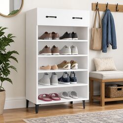 Practical Shoe Cabinet for Your Home Needs