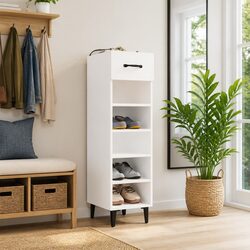 Practical Shoe Cabinet for Hallways and Small Spaces