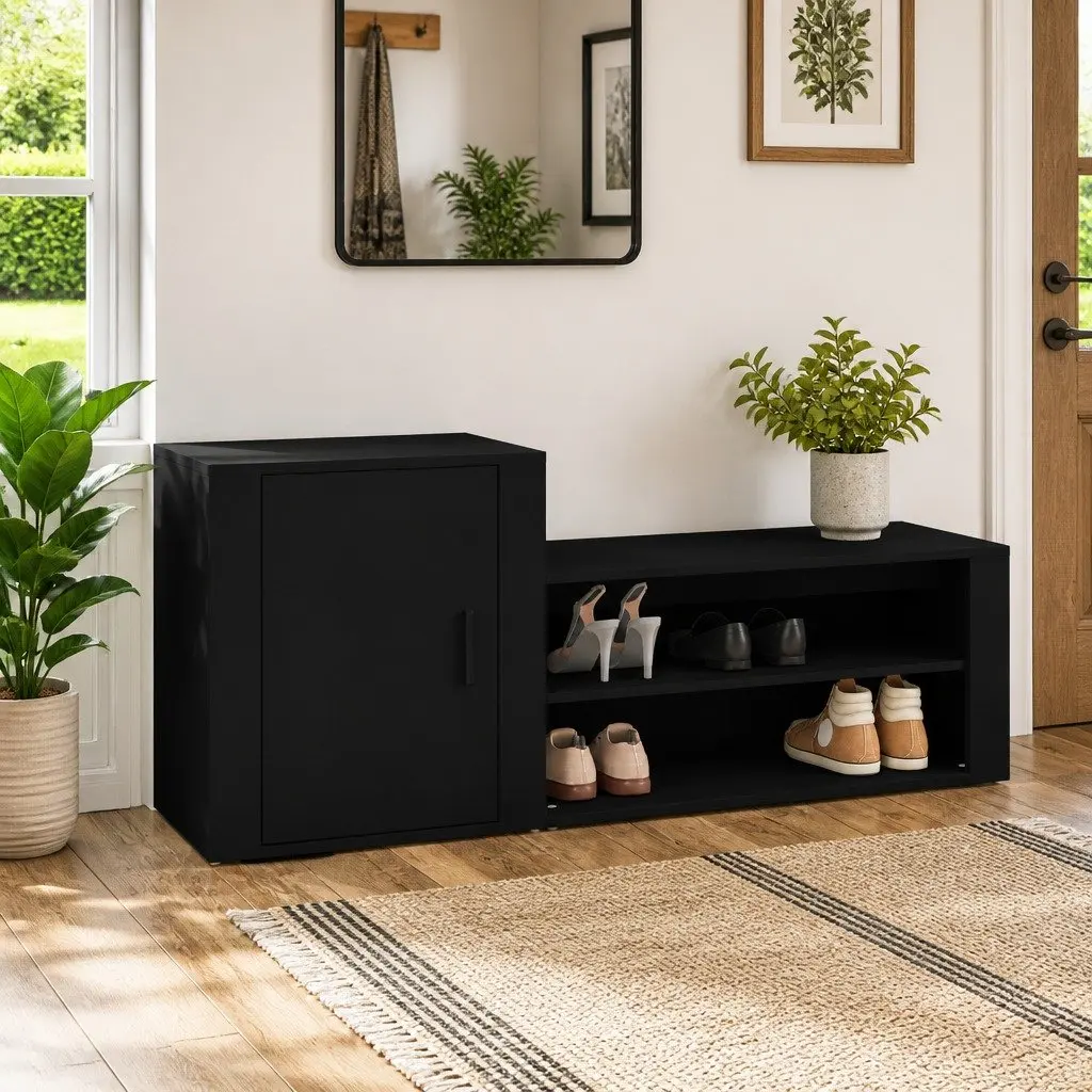 Black Shoe Cabinet with 2 Compartments for Home Use