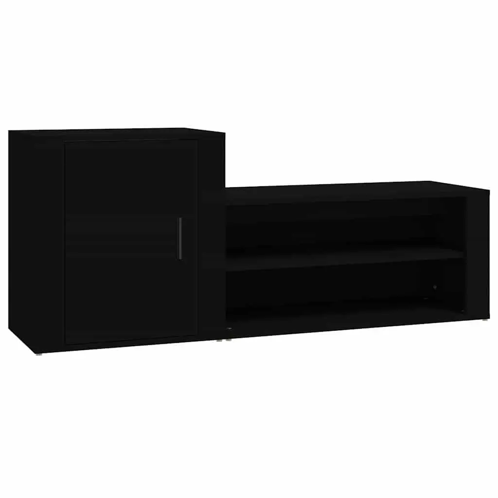 Black Shoe Cabinet with 2 Compartments for Home Use