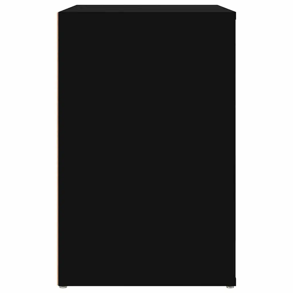 Black Shoe Cabinet with 2 Compartments for Home Use