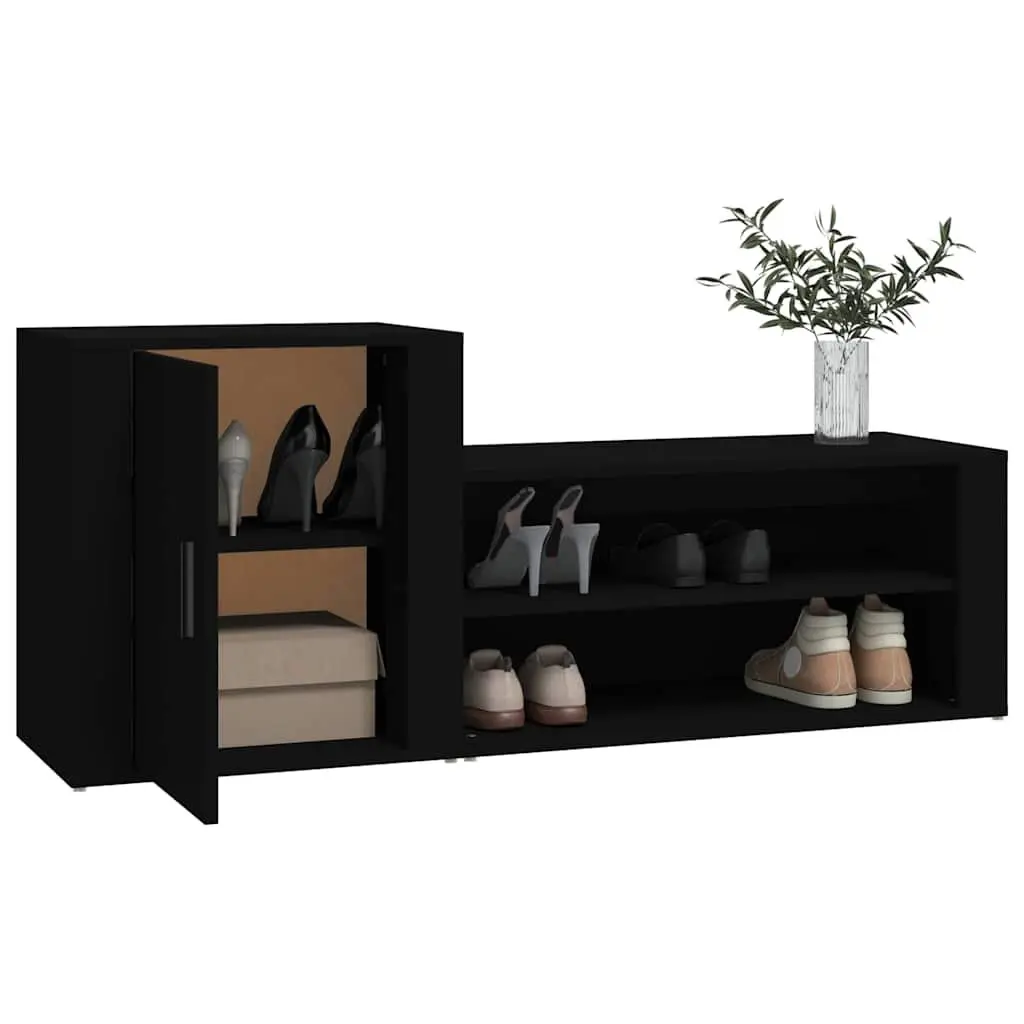 Black Shoe Cabinet with 2 Compartments for Home Use