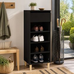 Ideal Shoe Cabinet for Entryways with 4 Shelves