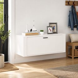 Versatile Shoe Storage Cabinet for Any Room