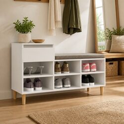 Versatile Shoe Cabinet for Practical Home Use