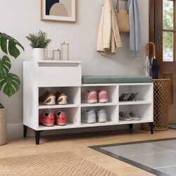 Versatile Shoe Storage Cabinet for Modern Homes