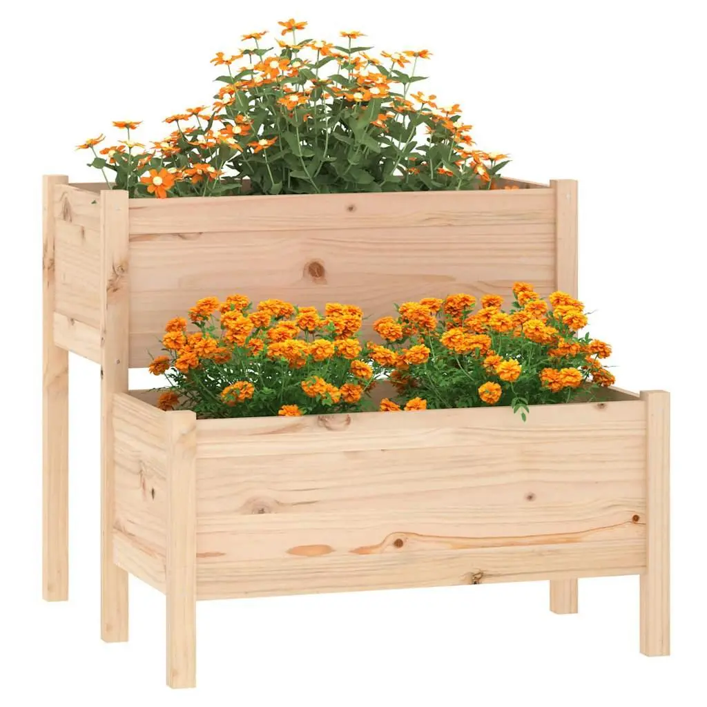 2-Tier Wooden Planter for Home Use