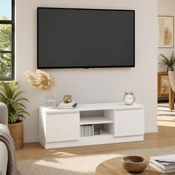 Versatile TV Cabinet with Door for Any Room